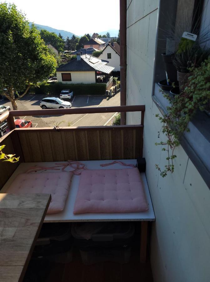 Appartement Au Cigogneau Wifi-Netflix-Balcon-Parking Munster  Exteriör bild