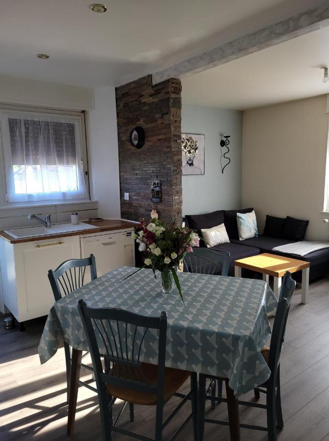 Appartement Au Cigogneau Wifi-Netflix-Balcon-Parking Munster  Exteriör bild