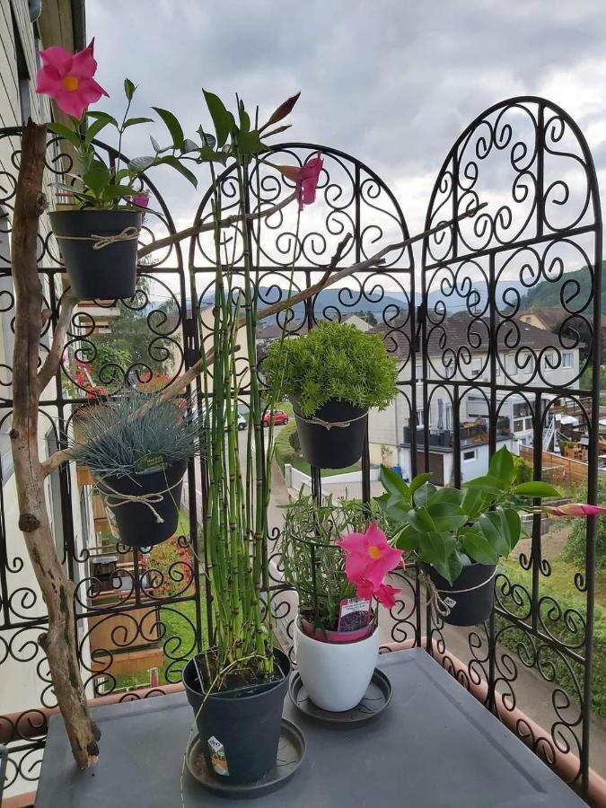 Appartement Au Cigogneau Wifi-Netflix-Balcon-Parking Munster  Exteriör bild