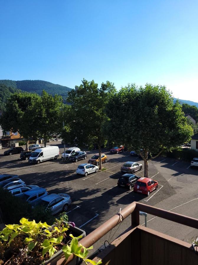 Appartement Au Cigogneau Wifi-Netflix-Balcon-Parking Munster  Exteriör bild