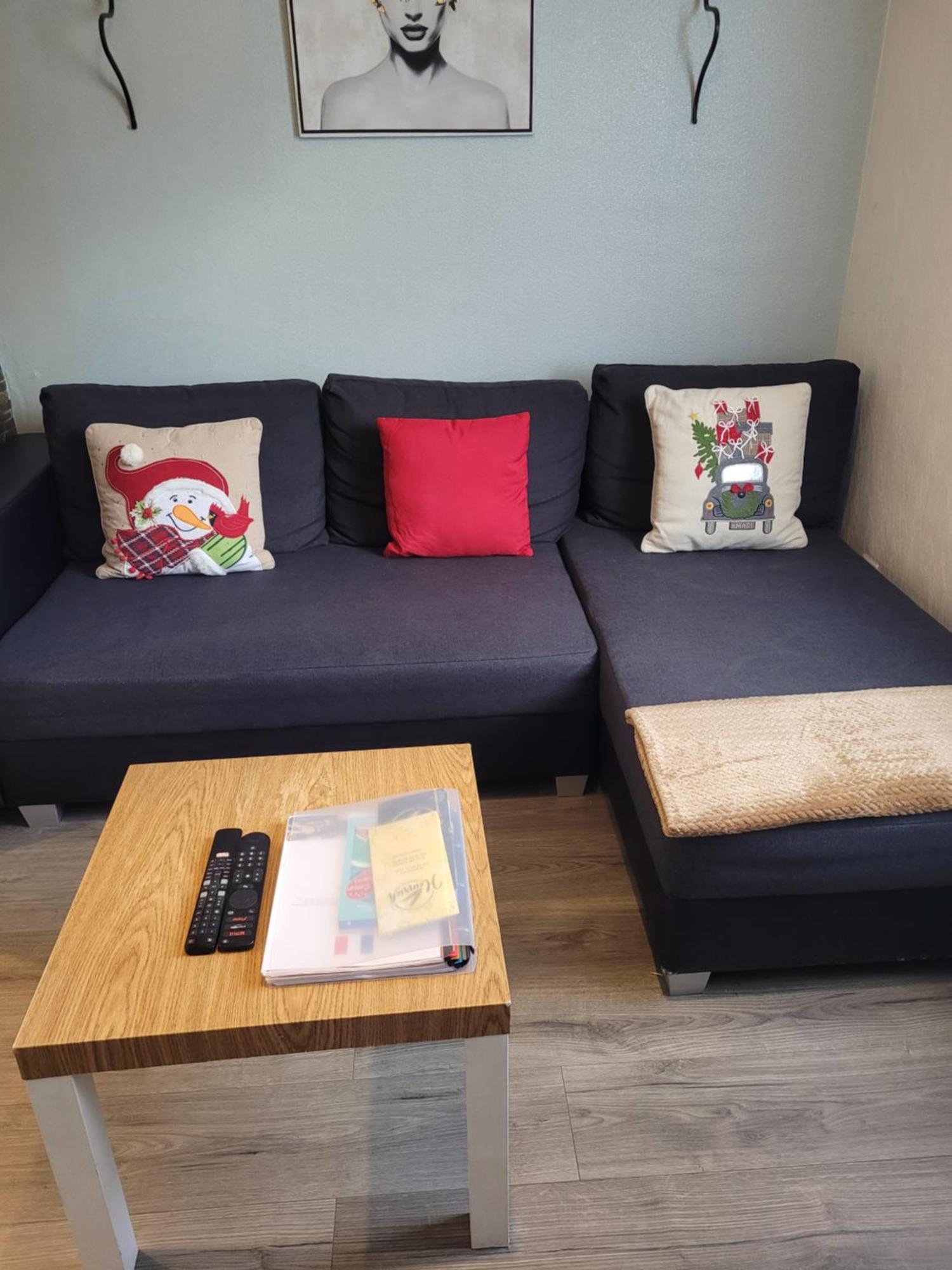 Appartement Au Cigogneau Wifi-Netflix-Balcon-Parking Munster  Exteriör bild